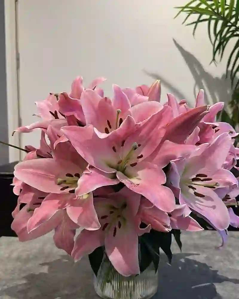 A fresh-cut pink lily bouquet